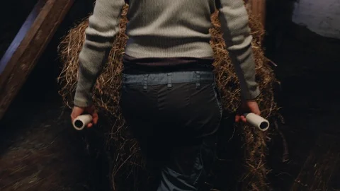 Working at the Stable Vídeo Stock 89184334