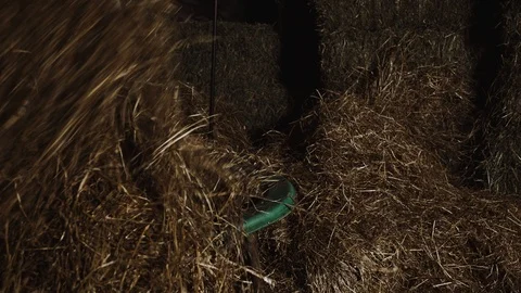 Working at the Stable Vídeo Stock 89184677