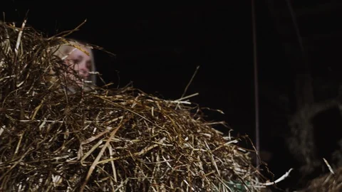 Working at the Stable Stock Footage 89197559