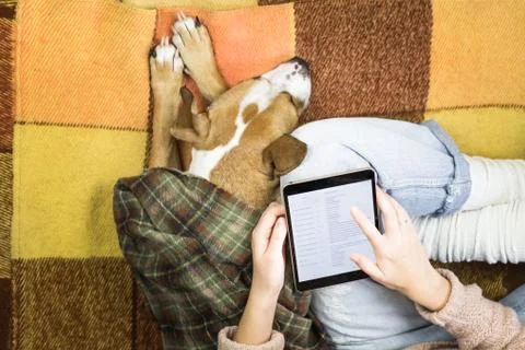 Working with tablet at home next to a sleeping dog Stock Photos