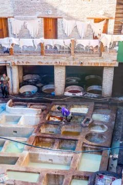 Working at tannery pools, Fez Stock Photos