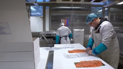 Working Team In A Seafood Processing Factory. Workers pack the fish in plastic. Stock Footage 69839181