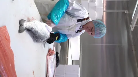 Working Team In A Seafood Processing Factory. Man sprinkles spices on the fish. Video stock 243148254