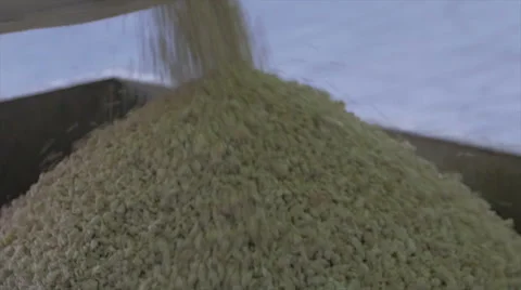 Working at a timber processing plant 動画素材 62441484