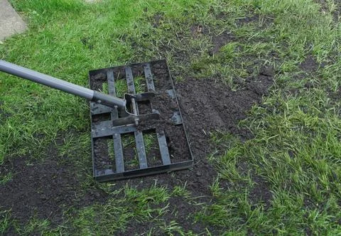 Working top soil into a bumpy lawn with a lawn lute Stock Photos