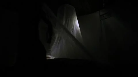 Working under a mosquito net Vídeos de archivo 50619939