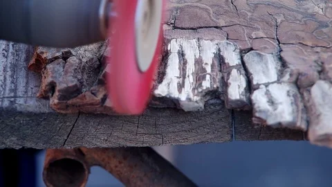 Working of walnut wood Stock Footage 124023478