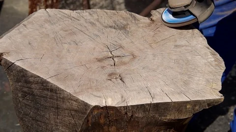 Working of walnut wood Stock Footage 124023764