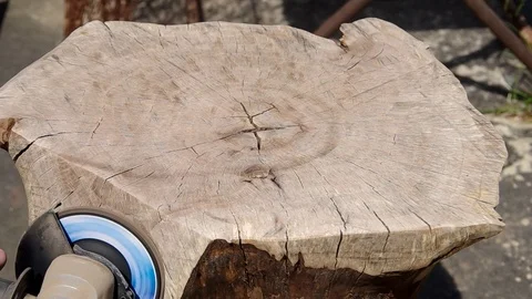 Working of walnut wood Stock Footage 124023901