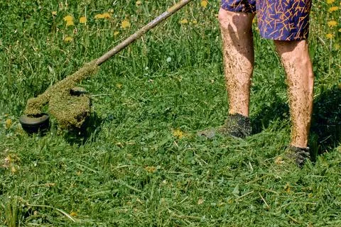 Working with weed wacker without special clothing, farmers unprotected legs.. Stock Photos