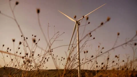 Working wind generator, wind farm in the morning sun Stock Footage 142495453