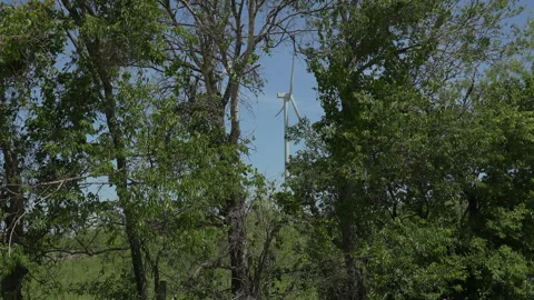 Working wind turbine through trees in the forest, 4K. Stock Footage 241545750