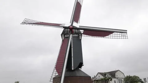 Working windmill in village during gloomy daytime, Netherlands Video stock 245407433