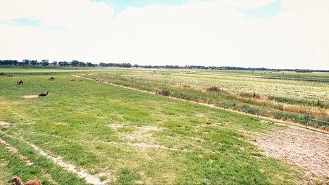 Working yellow farm aerials, barn and buildings from bird's-eye Stock Footage