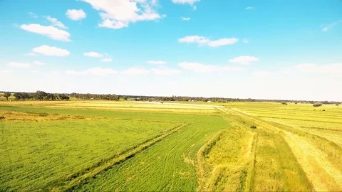 Working yellow farm aerials, barn and buildings from bird's-eye Stock Footage