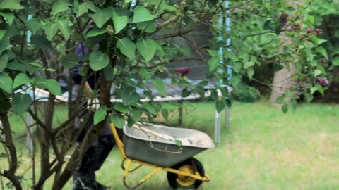 Working young man in a garden is throwing leaves into a wheelbarrow Video stock 130659618