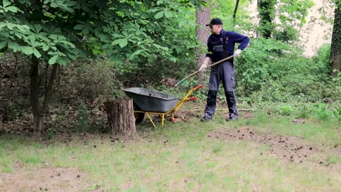 Working young man in a garden is throwing leaves into a wheelbarrow Stock Footage 130659727