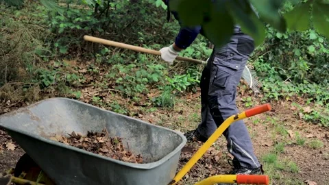 Working young man in a garden is throwing leaves into a wheelbarrow Video stock 130659743