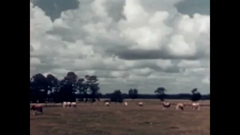 The workings of soil technicians in the field and the modern laboratory in Stock Footage 88827569