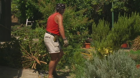 Workman moves tree clippings Stock Footage 53223812