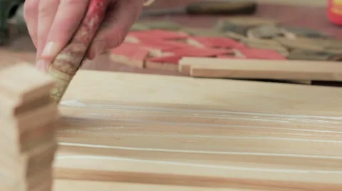 Workman smears glue on the tree Stock Footage 69205154