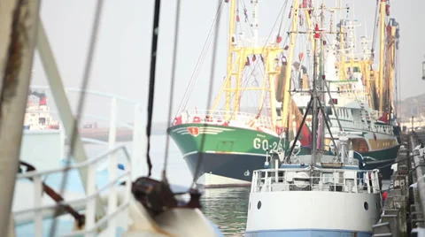 Workmen in harbor Stock Footage 39832857