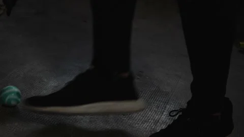 Workout with a pug Stock Footage 160047229