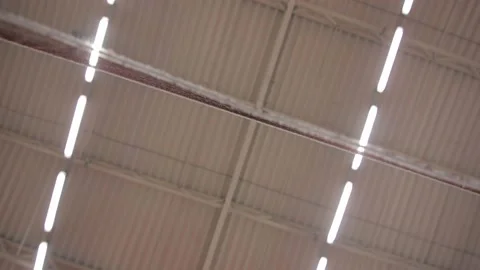 Workout warm-up and badminton game Stock Footage 142883816