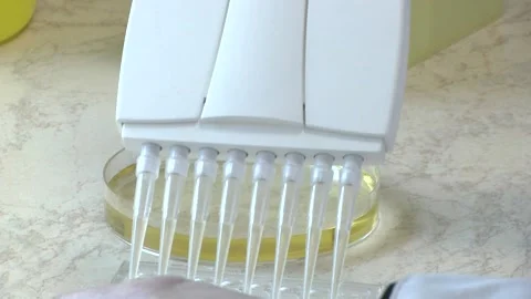 Workplace with automatic pipettes Stock Footage 129133668