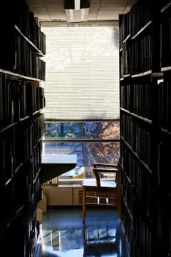 Workplace at a College Library Foto stock