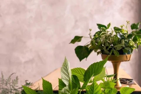 The workplace of the florist to work. Side view. Making floral decorations. F 스톡 사진