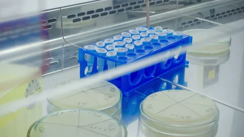 Workplace in the laboratory. Stock Footage 88200281