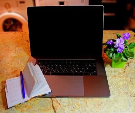 Workplace of programmer nicely decorated with flower Stock Photos