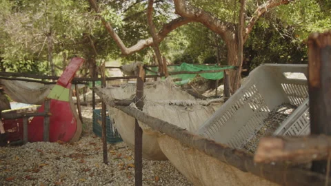 Workplace of traditional shellfish gatherers Stock Footage 199832141