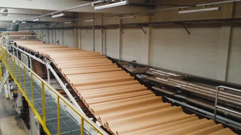 Workshop at factory producing biodegradable paper package from recycled Stock Footage 282668809