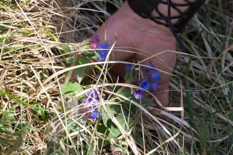 Workshop florist in nature Foto stock