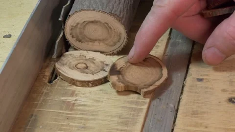 Workshop.The master puts together the wooden circles cut from a thick branch. Stock-Footage 151270948