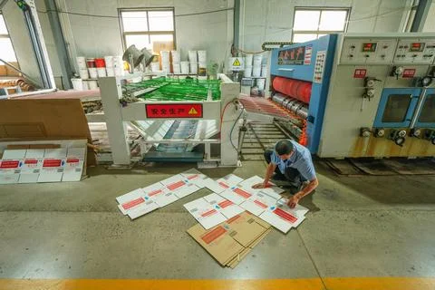 Workshop Worker Inspecting Carton Printing Templates Stock Photos