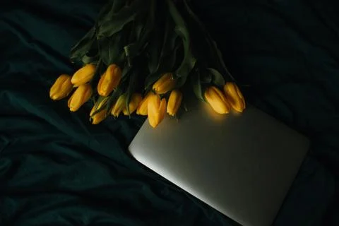 Workspace and workplace in bed with internet and laptop on blue background Stock Photos