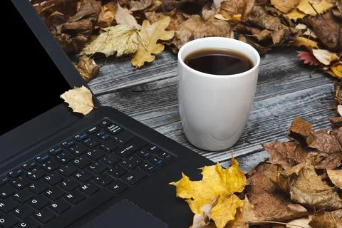 Workspace in autumn. Stock Photos
