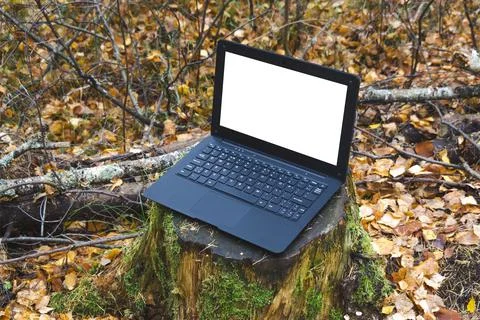 Workspace in autumn. Stock Photos
