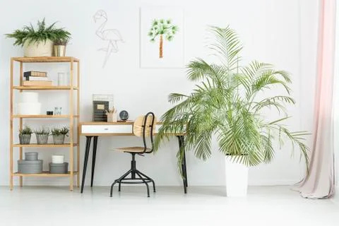Workspace with plants Stock-Fotos
