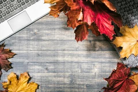 Workspace with yellow and red maple leaves. Stock Photos