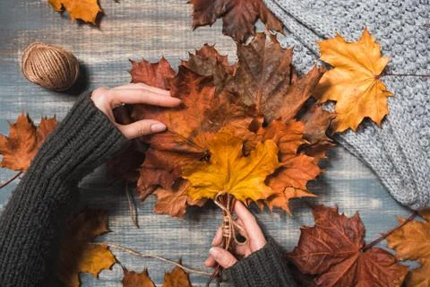 Workspace with yellow and red maple leaves. Stock Photos