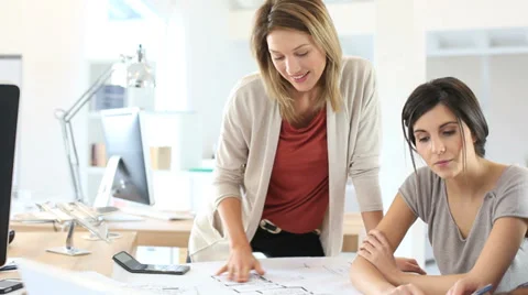 Workteam of architects in office Stock Footage 37556572