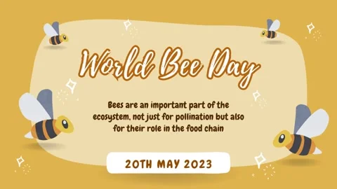WORLD BEE DAY Stock Footage 260380410