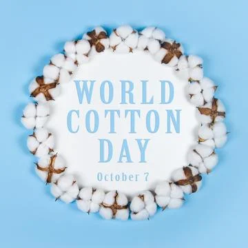 World cotton day Stock Illustration