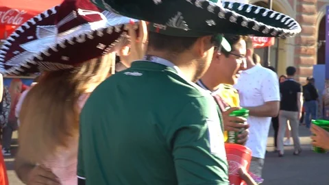 World cup fans Stock Footage 120269027