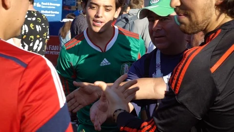 World cup fans Stock Footage 120269029