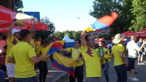 World cup fans Stock Footage 120269053